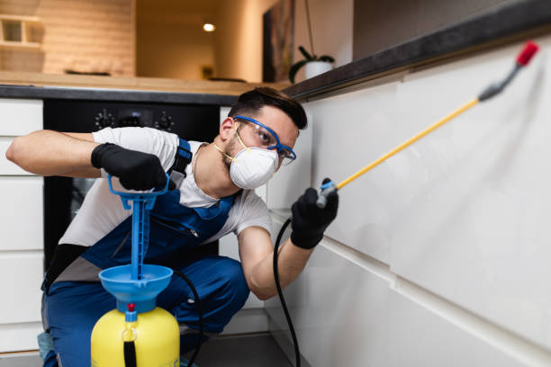 Best Local Pest Control Services  in Auburn, KS