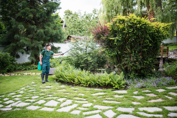 Best Mosquito Control Services  in Auburn, KS