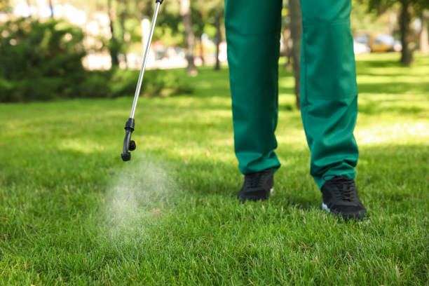 Wasp Removal Services in Auburn, KS
