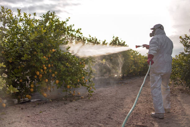 Best Local Pest Control Services  in Auburn, KS