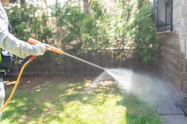 Best Cockroach Control Services  in Auburn, KS