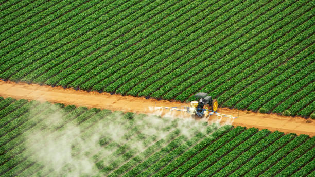 Pest Prevention Services in Auburn, KS