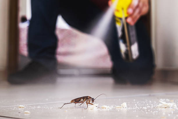 Auburn, KS Pest Control Company