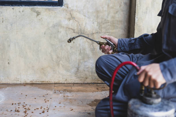 Best Residential Pest Control  in Auburn, KS